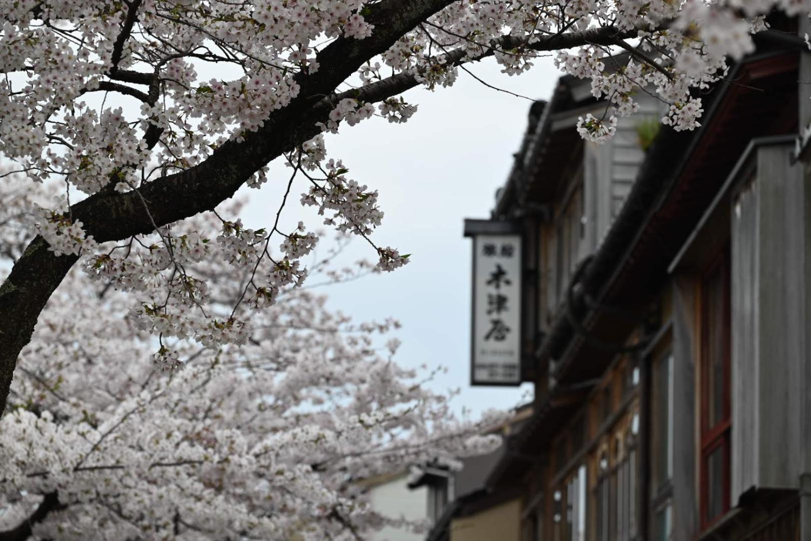 Japanese Machiya Private Asanogawa Kanazawa