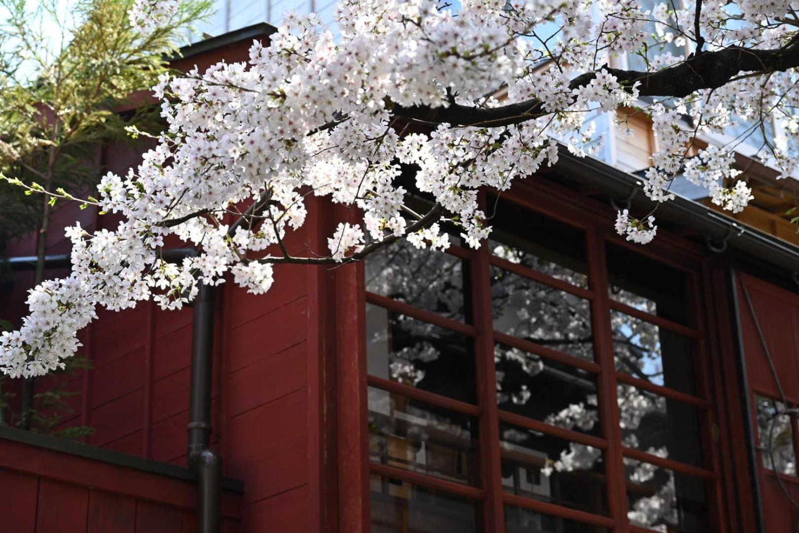 Japanese Machiya Private Asanogawa