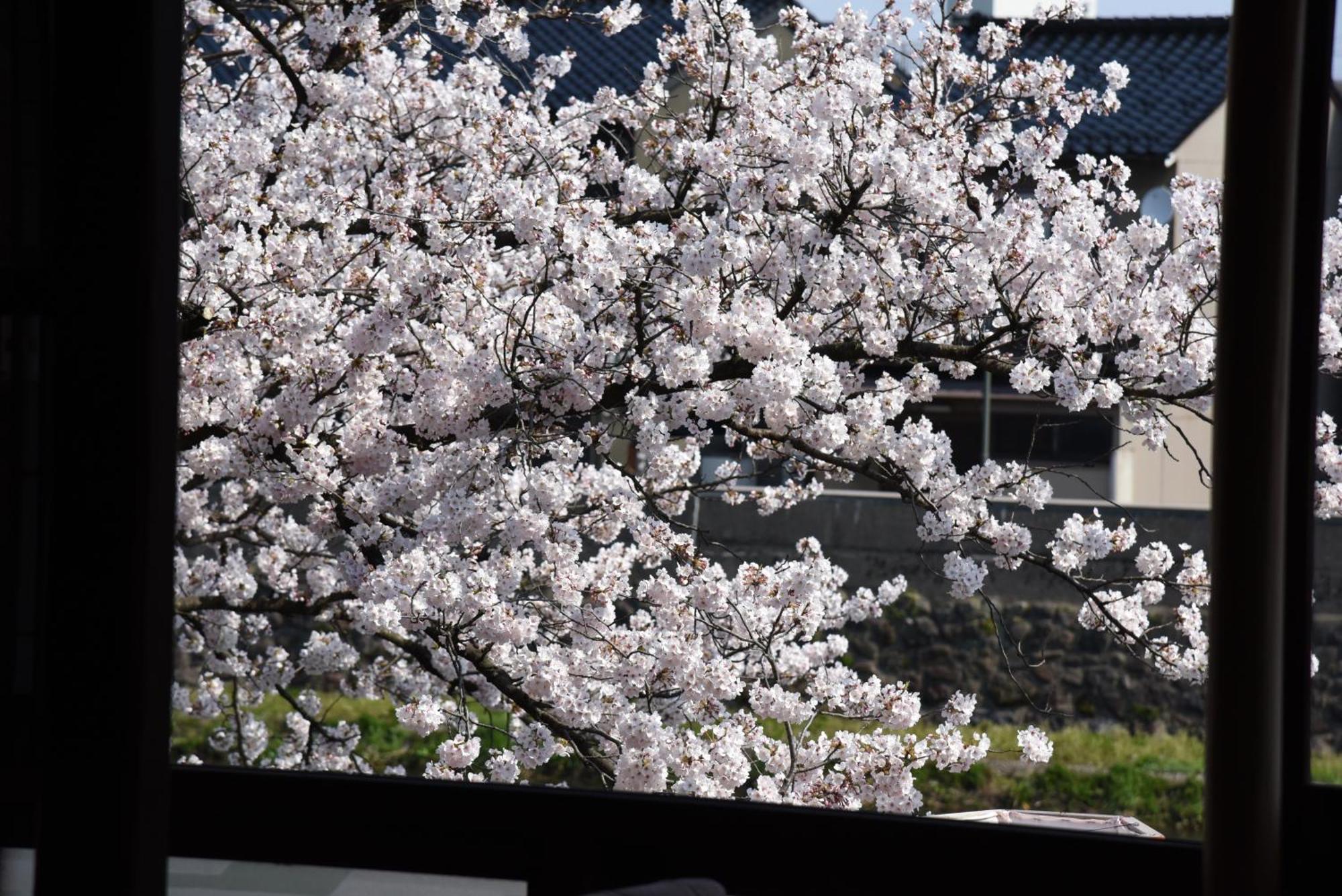 Japanese Machiya Private Asanogawa Ferienhaus